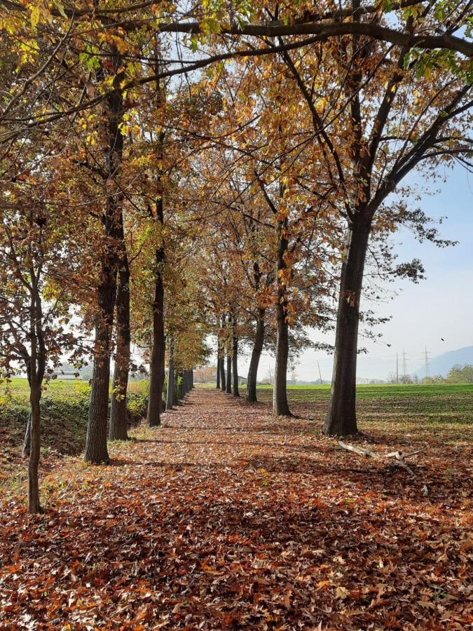 Cascina Cortese Druento Buitenkant foto